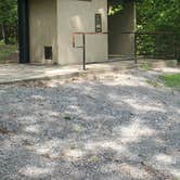 Review photo of Land Between The Lakes National Recreation Area Redd Hollow Campground by Staci R., August 16, 2022