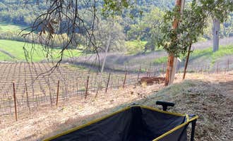 Camping near Earth's Skirt LLC: Vineyard Glamping (Coleman Outfitted Site), Templeton, California