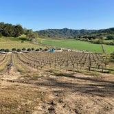 Review photo of Vineyard Glamping (Coleman Outfitted Site) by Lee D., August 16, 2022