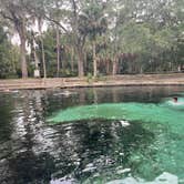 Review photo of Juniper Springs Rec Area - Tropical Camp Area by Sonia M., August 16, 2022