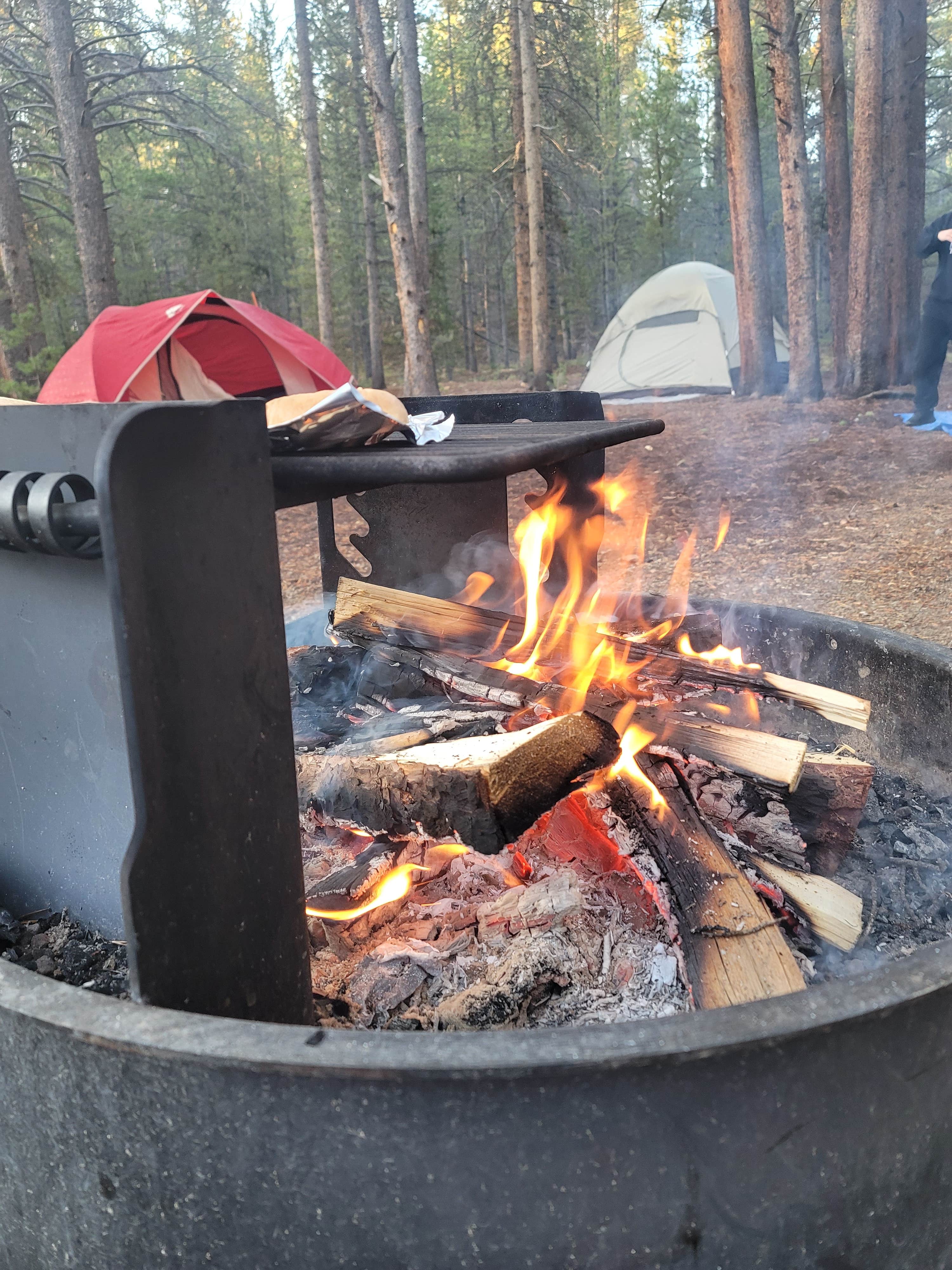 Camper-submitted photo at Turquoise Lake Primitive Camping near Granite, CO