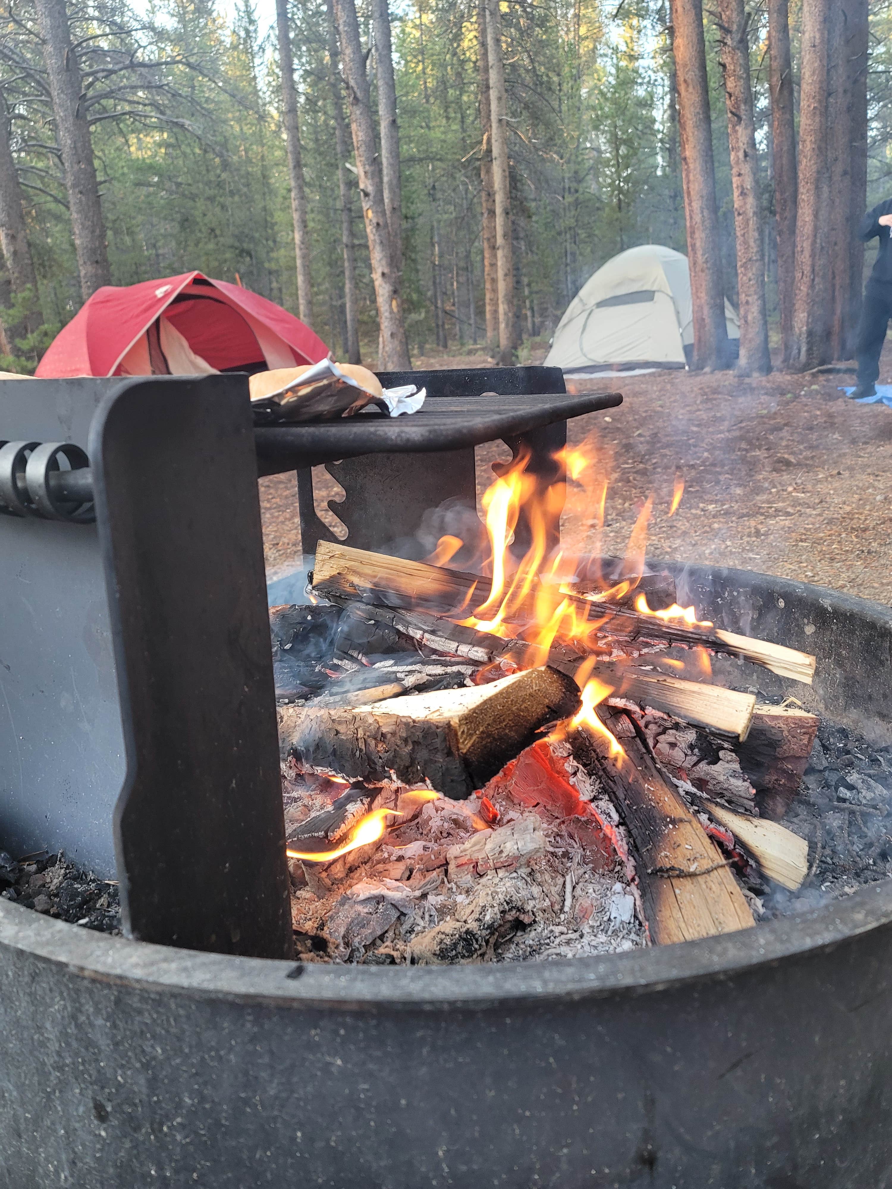 Camper submitted image from Turquoise Lake Primitive Camping - 5