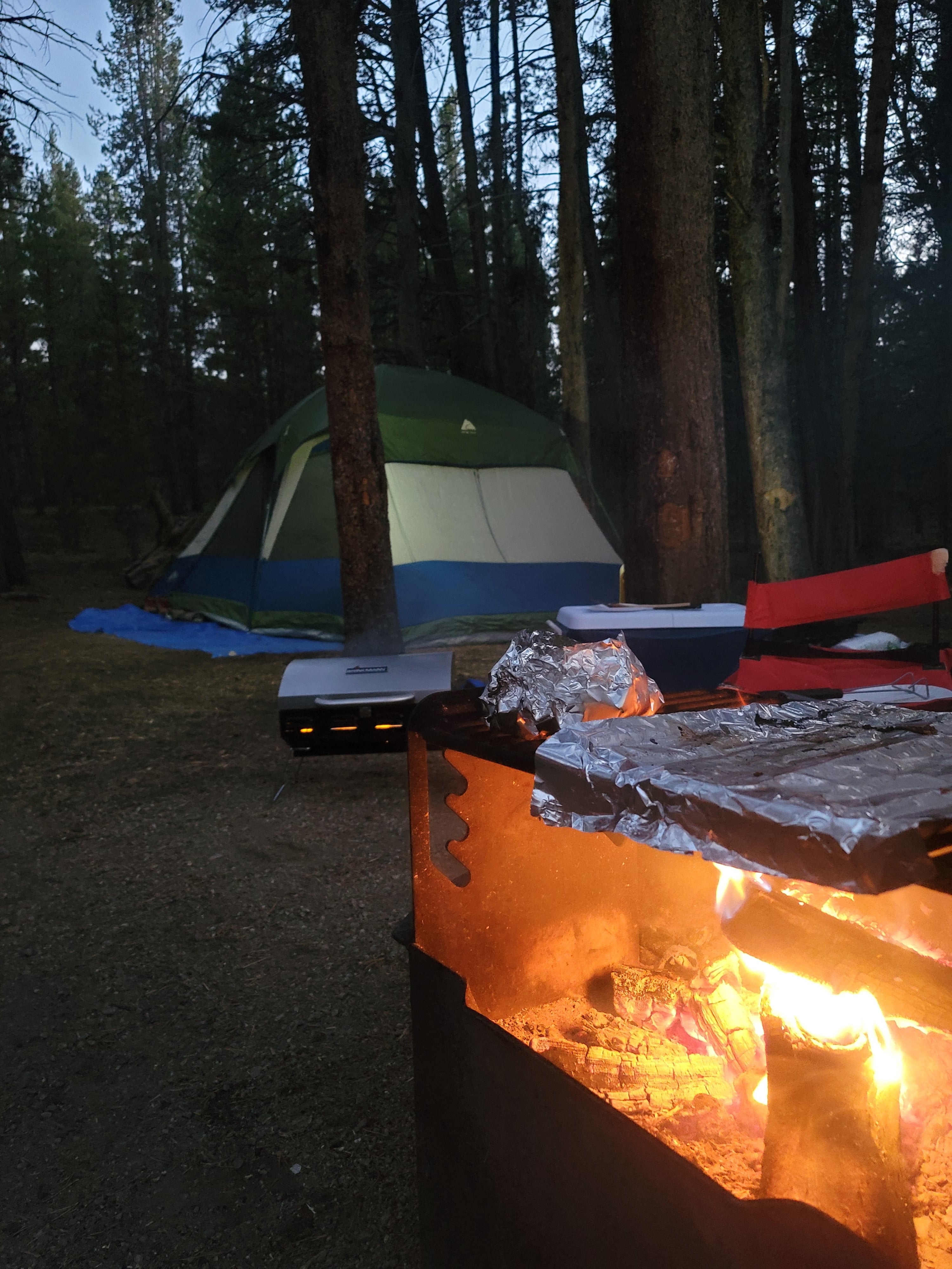 Camper submitted image from Turquoise Lake Primitive Camping - 1