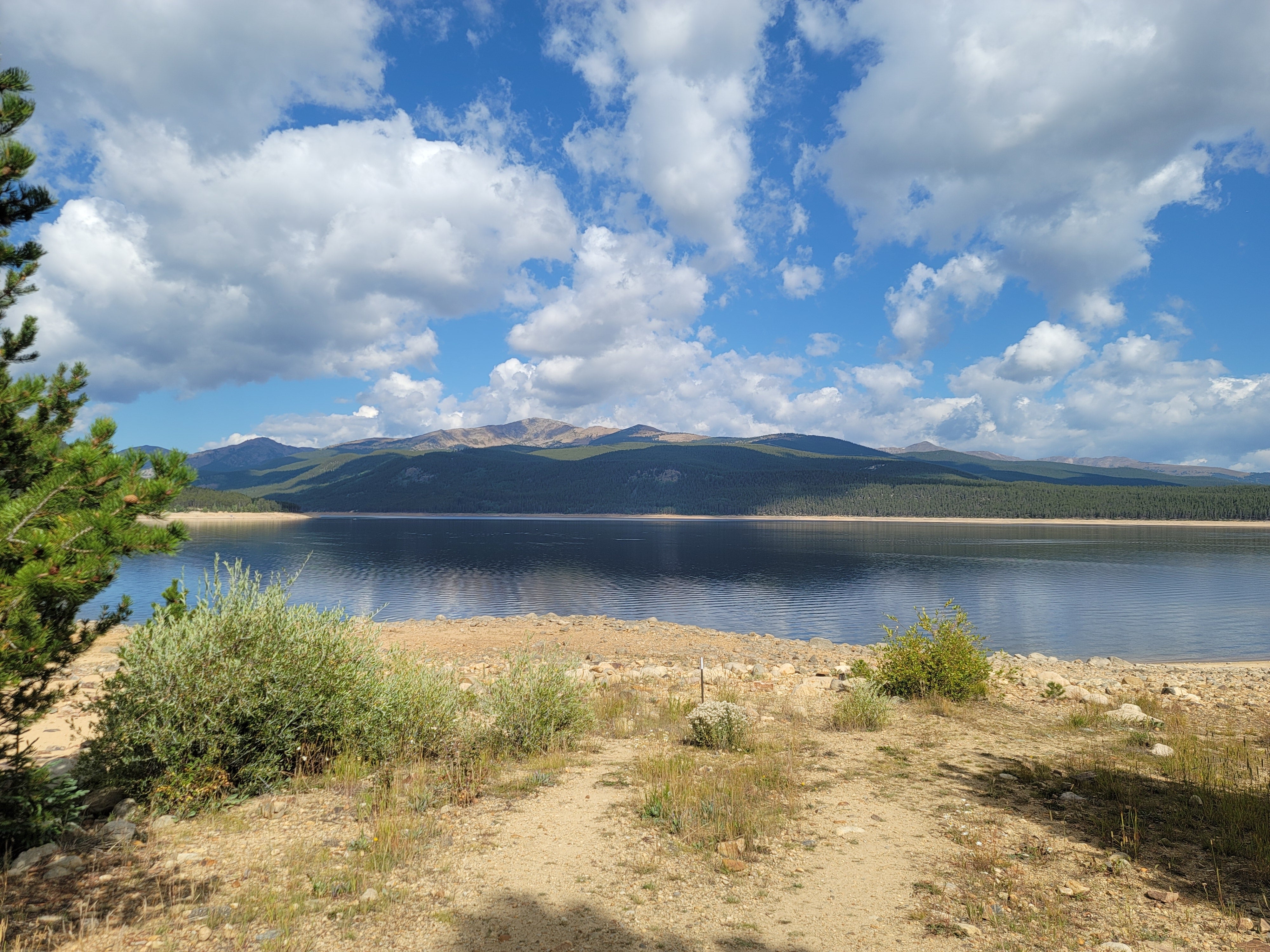 Camper submitted image from Turquoise Lake Primitive Camping - 2