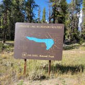 Review photo of Turquoise Lake Primitive Camping by Noy N., August 17, 2022