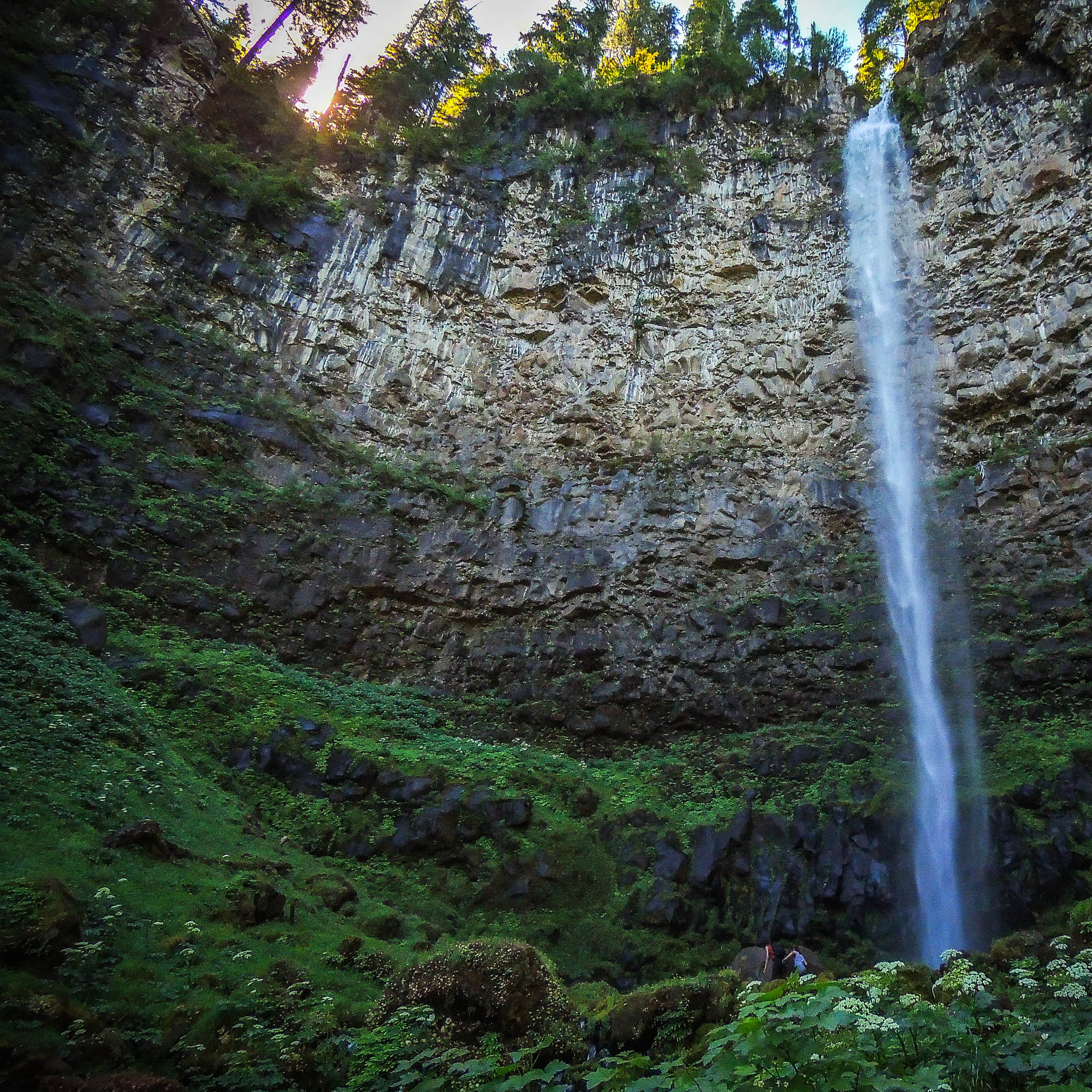 Thielsen View Campground Camping The Dyrt