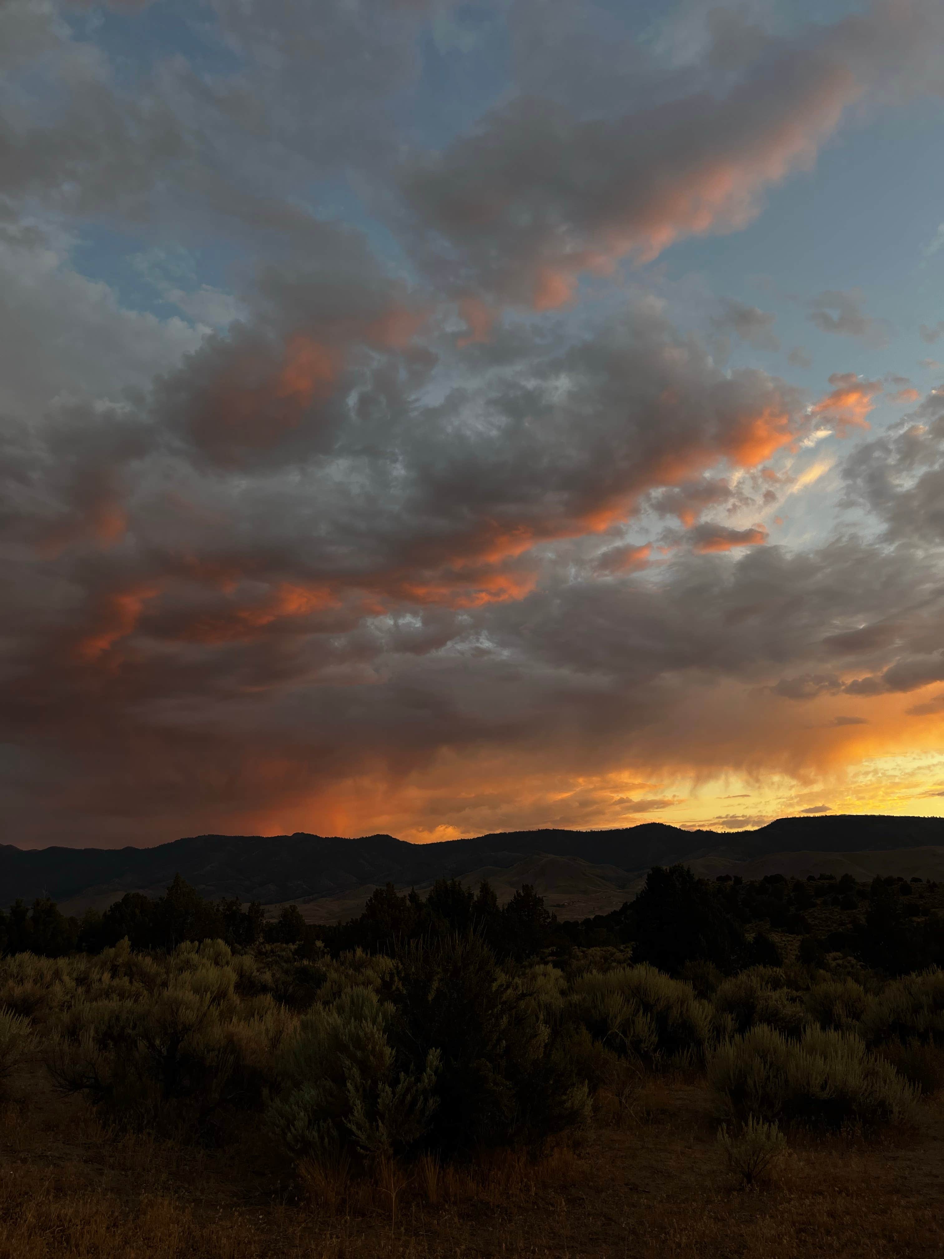 co's photo of a dispersed camping area at Fort Sage Off Highway Vehicle Area near Reno, NV