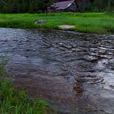 Review photo of Nez Perce National Forest Newsome Campground by Erica D., August 17, 2022