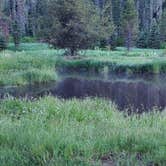 Review photo of Nez Perce National Forest Newsome Campground by Erica D., August 17, 2022