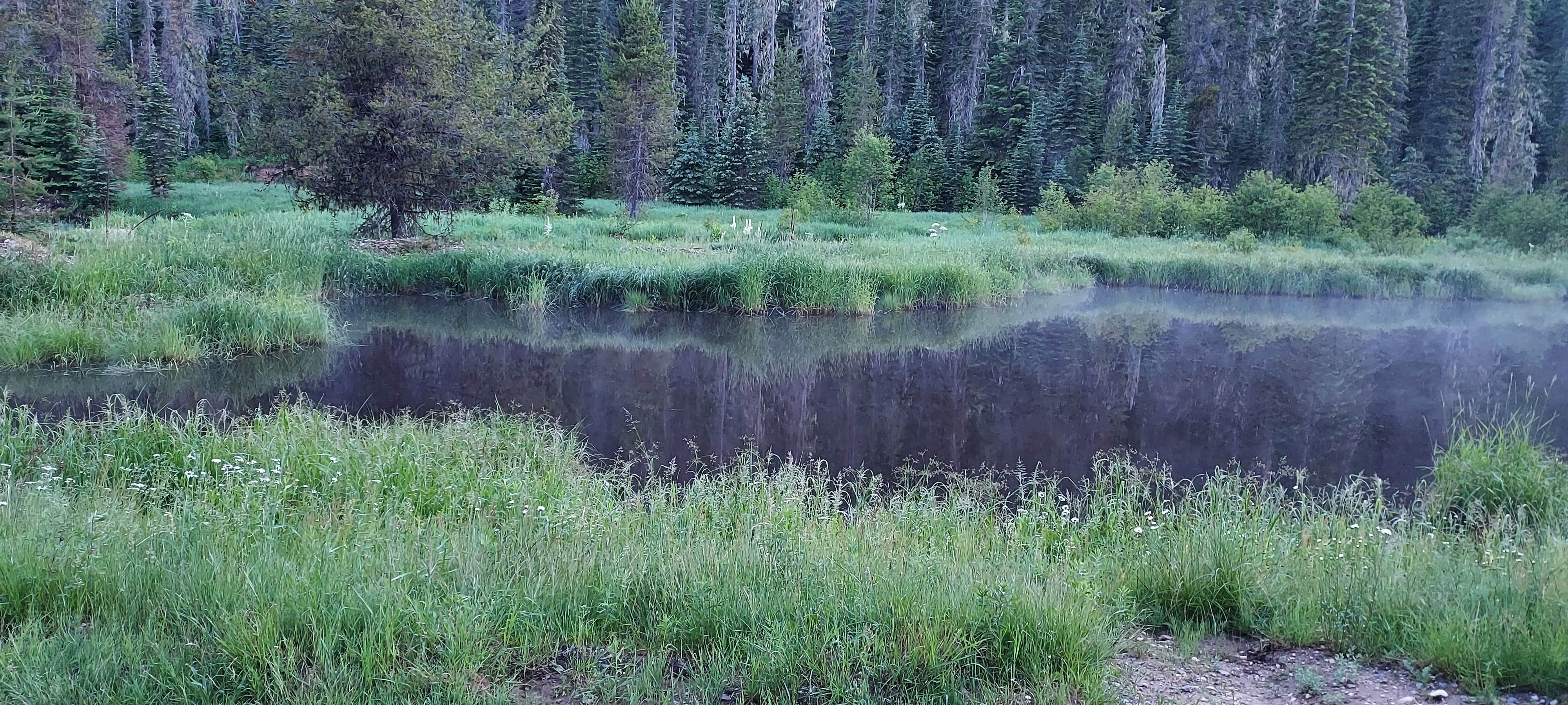 Camper submitted image from Nez Perce National Forest Newsome Campground - 2