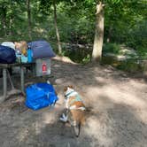 Review photo of Hawn State Park Campground by Jessica M., August 17, 2022