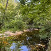 Review photo of Hawn State Park Campground by Jessica M., August 17, 2022