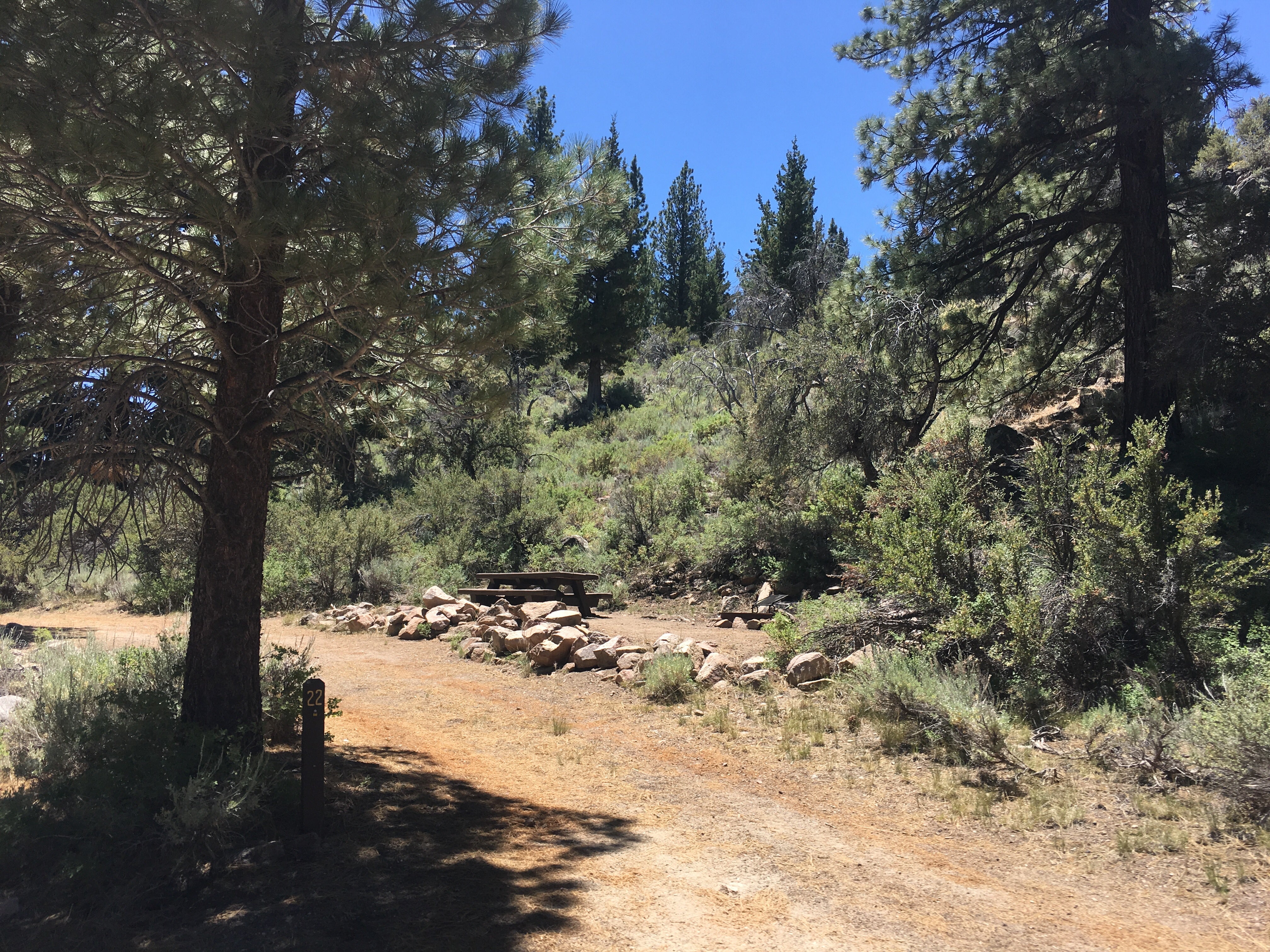 Camper submitted image from Sonora Bridge Campground - 4
