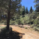 Review photo of Sonora Bridge — Humboldt Toiyabe National Forest Headquarters by Erin M., July 23, 2018