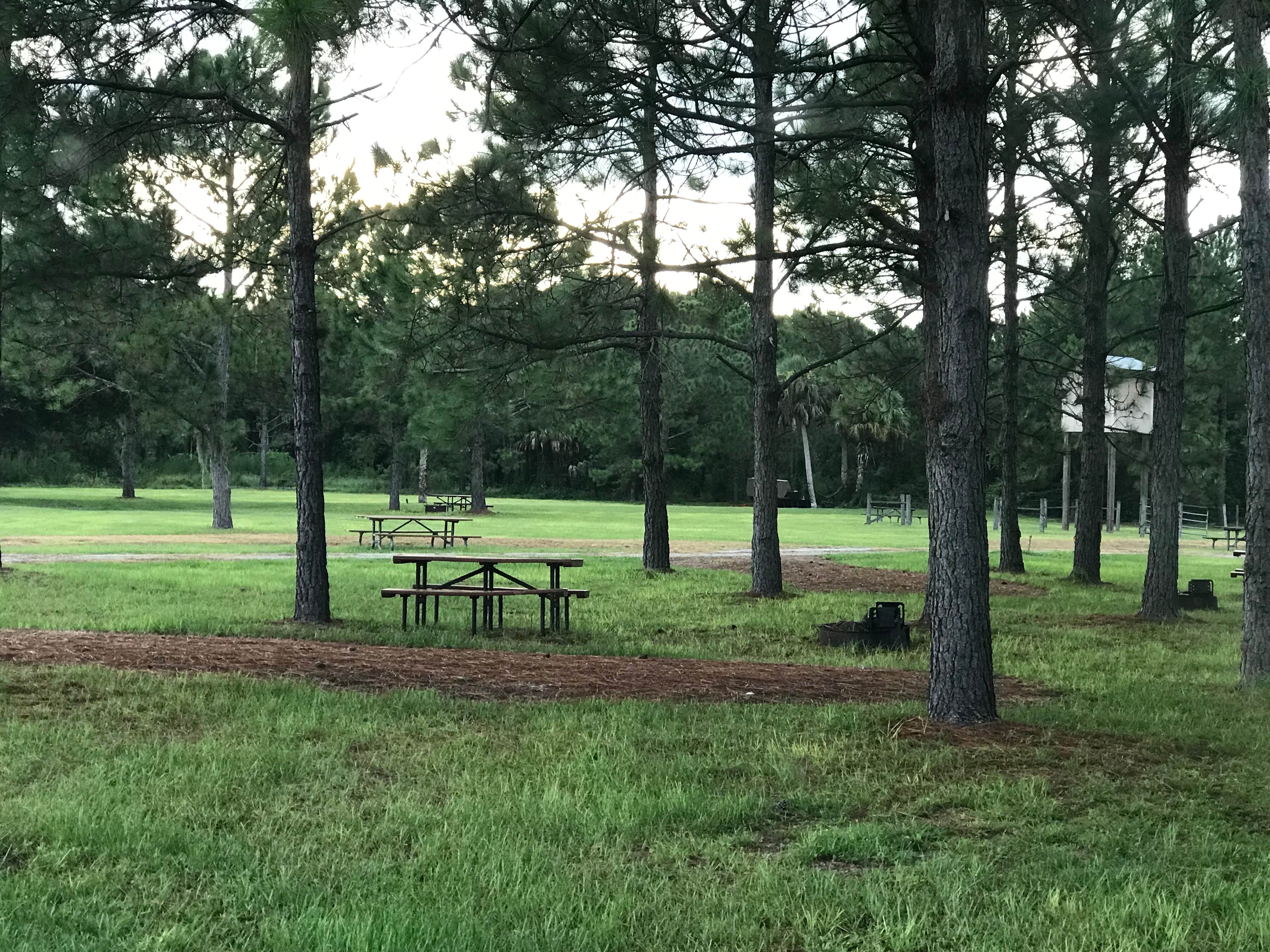 Camper submitted image from Istokpoga Canal Boat Ramp And Campsite - 3