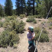 Review photo of Sonora Bridge — Humboldt Toiyabe National Forest Headquarters by Erin M., July 23, 2018