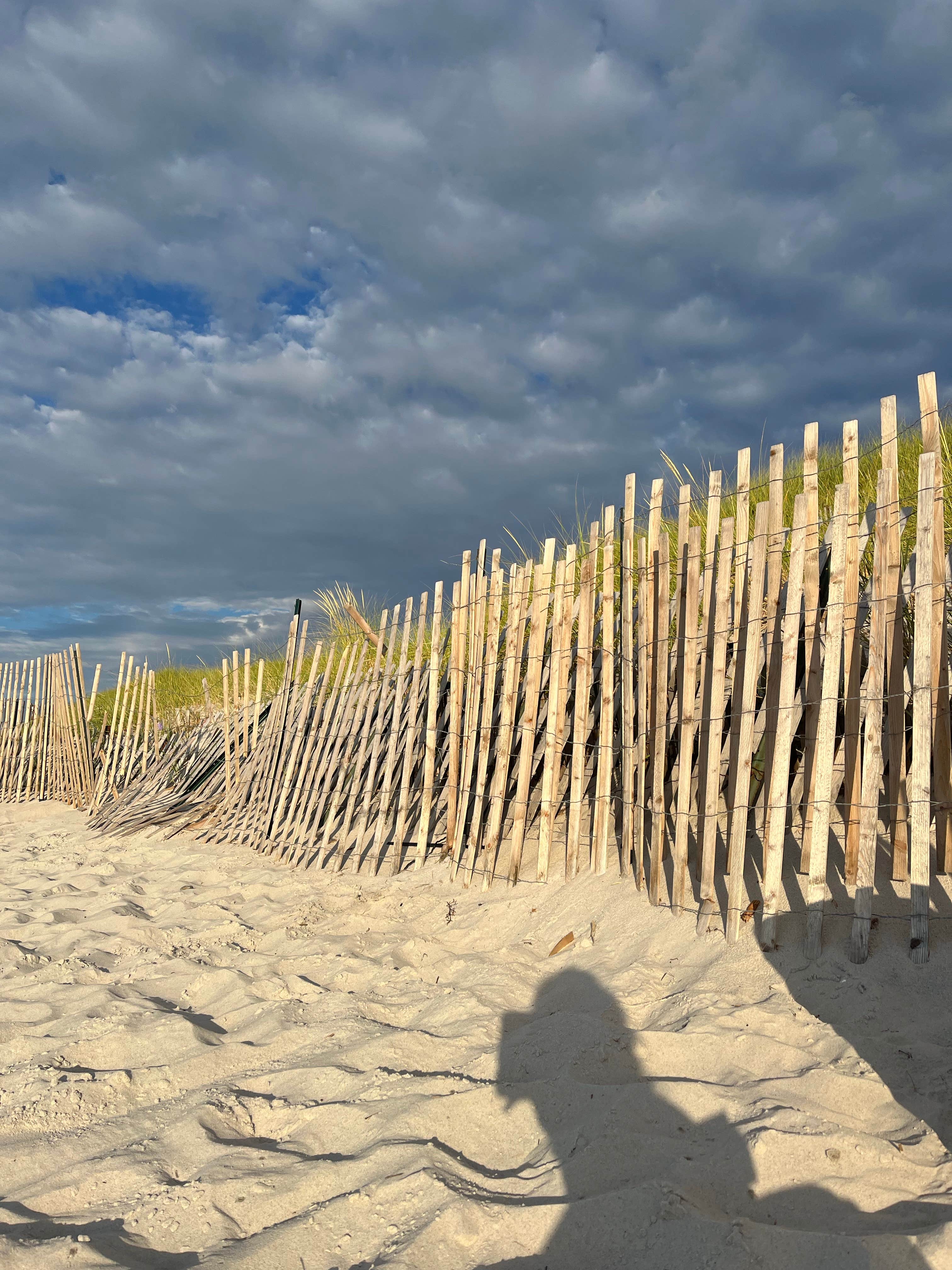 Camper-submitted photo at Sweetwater Forest near Orleans, MA