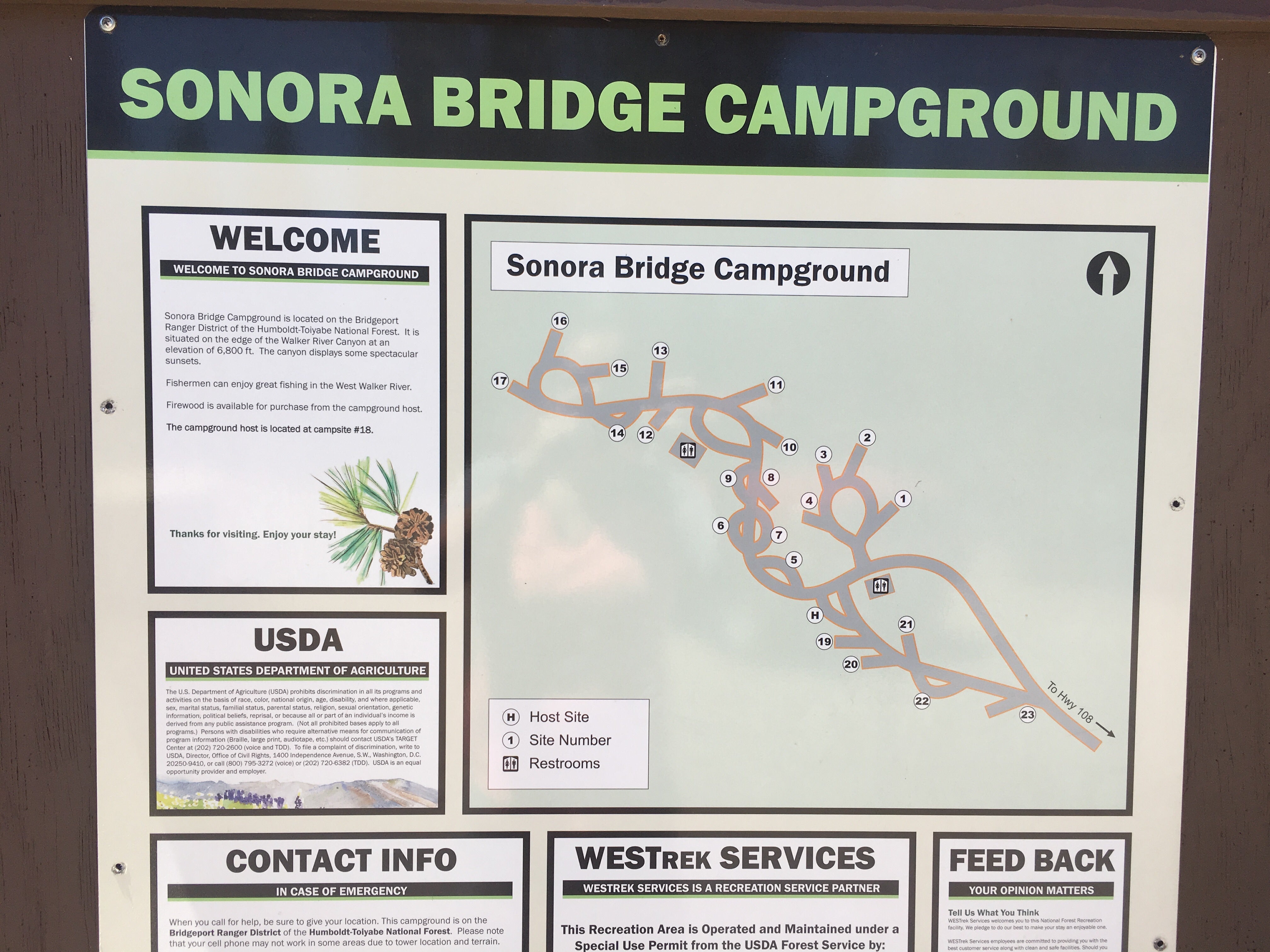 Camper submitted image from Sonora Bridge Campground - 3