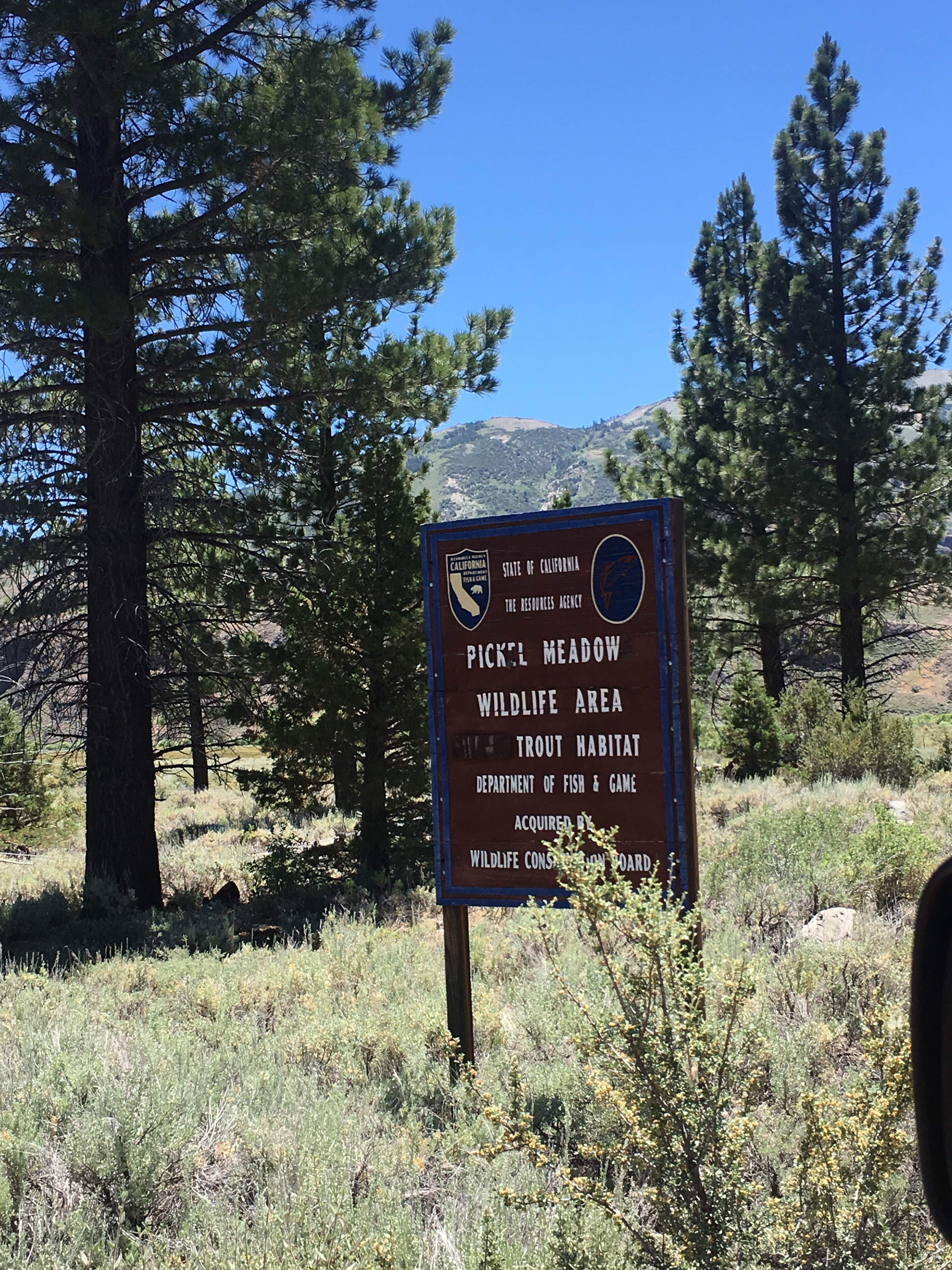 Camper-submitted photo at Sonora Bridge — Humboldt Toiyabe National Forest Headquarters near Coleville, CA