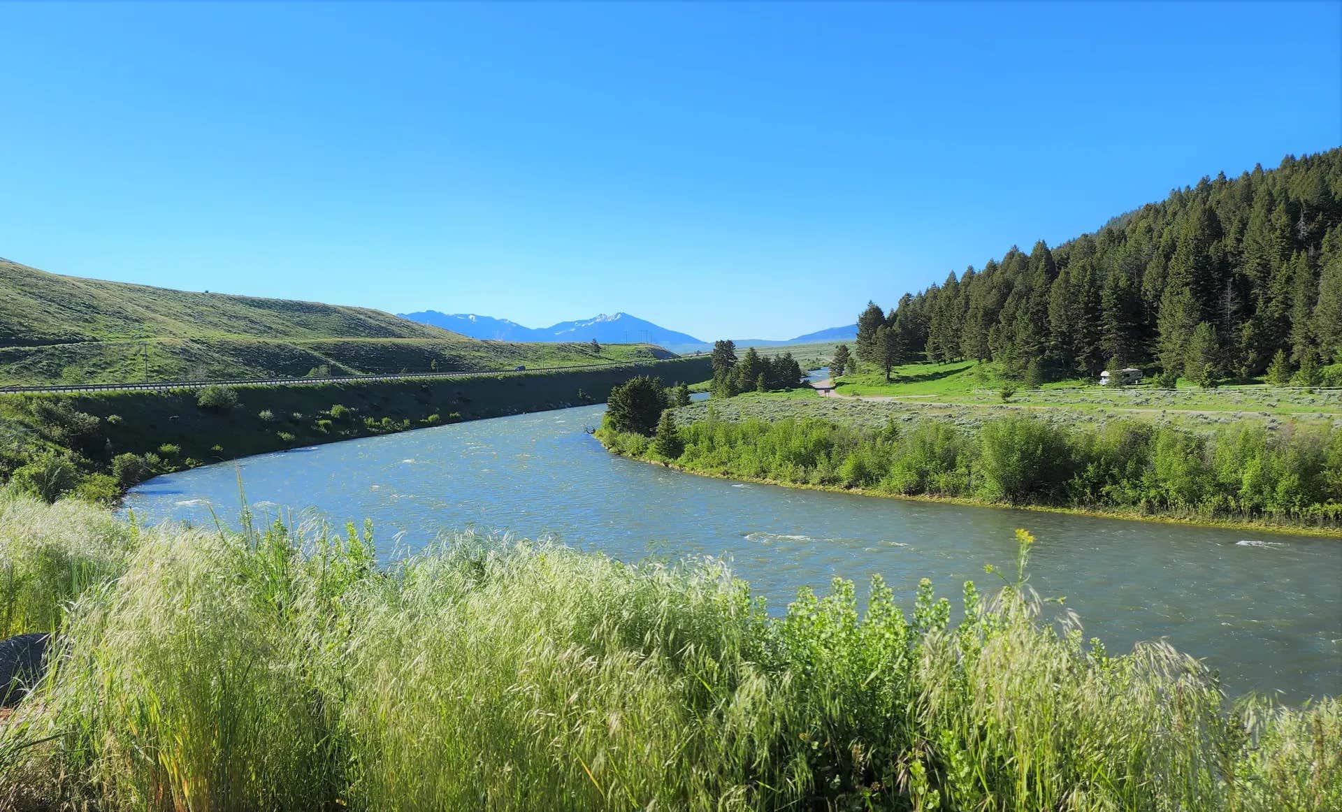 Camper submitted image from Madison River Campground (MT) - 1