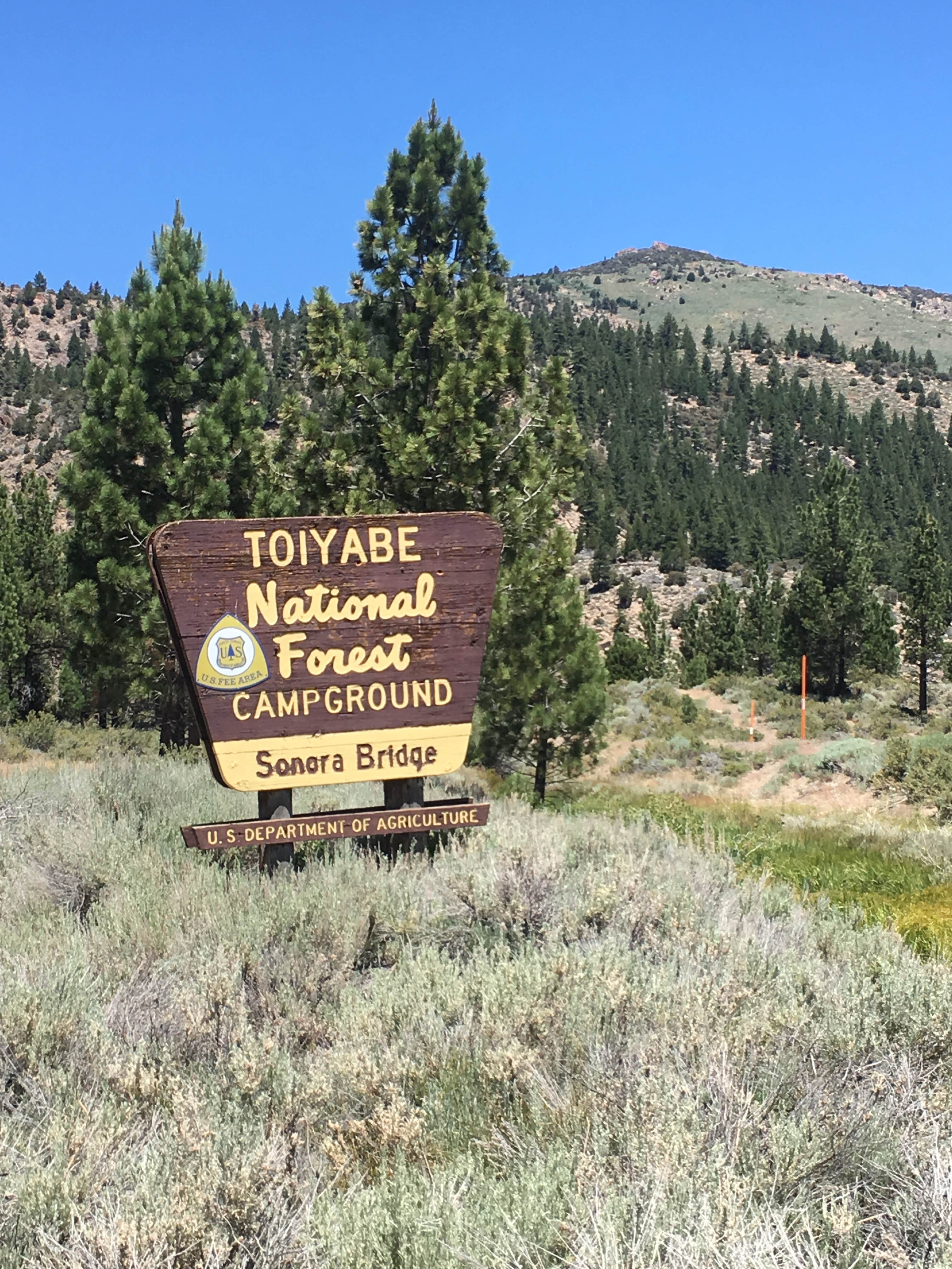Camper-submitted photo at Sonora Bridge — Humboldt Toiyabe National Forest Headquarters near Coleville, CA