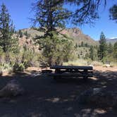 Review photo of Sonora Bridge — Humboldt Toiyabe National Forest Headquarters by Erin M., July 23, 2018