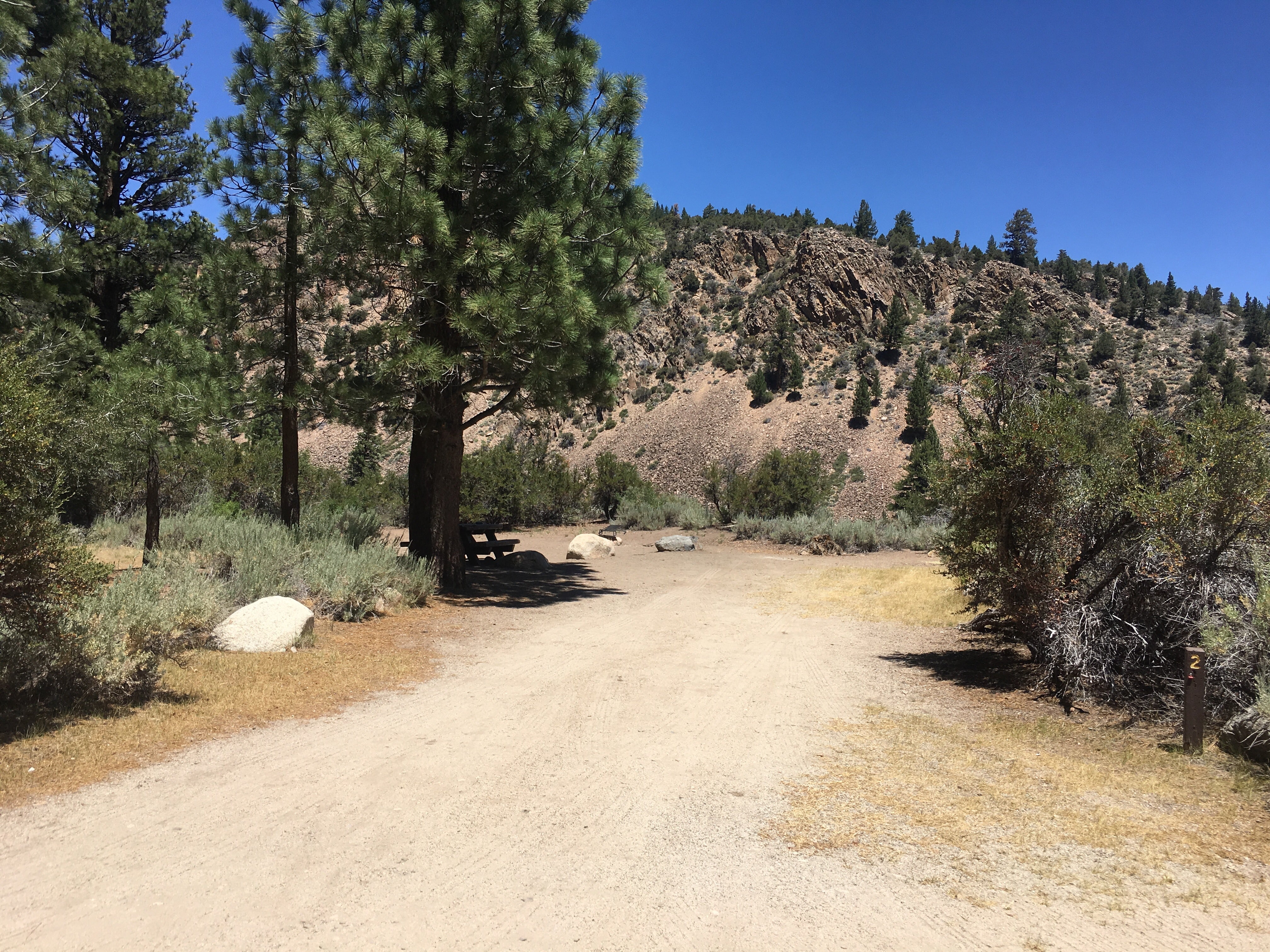 Camper submitted image from Sonora Bridge Campground - 5