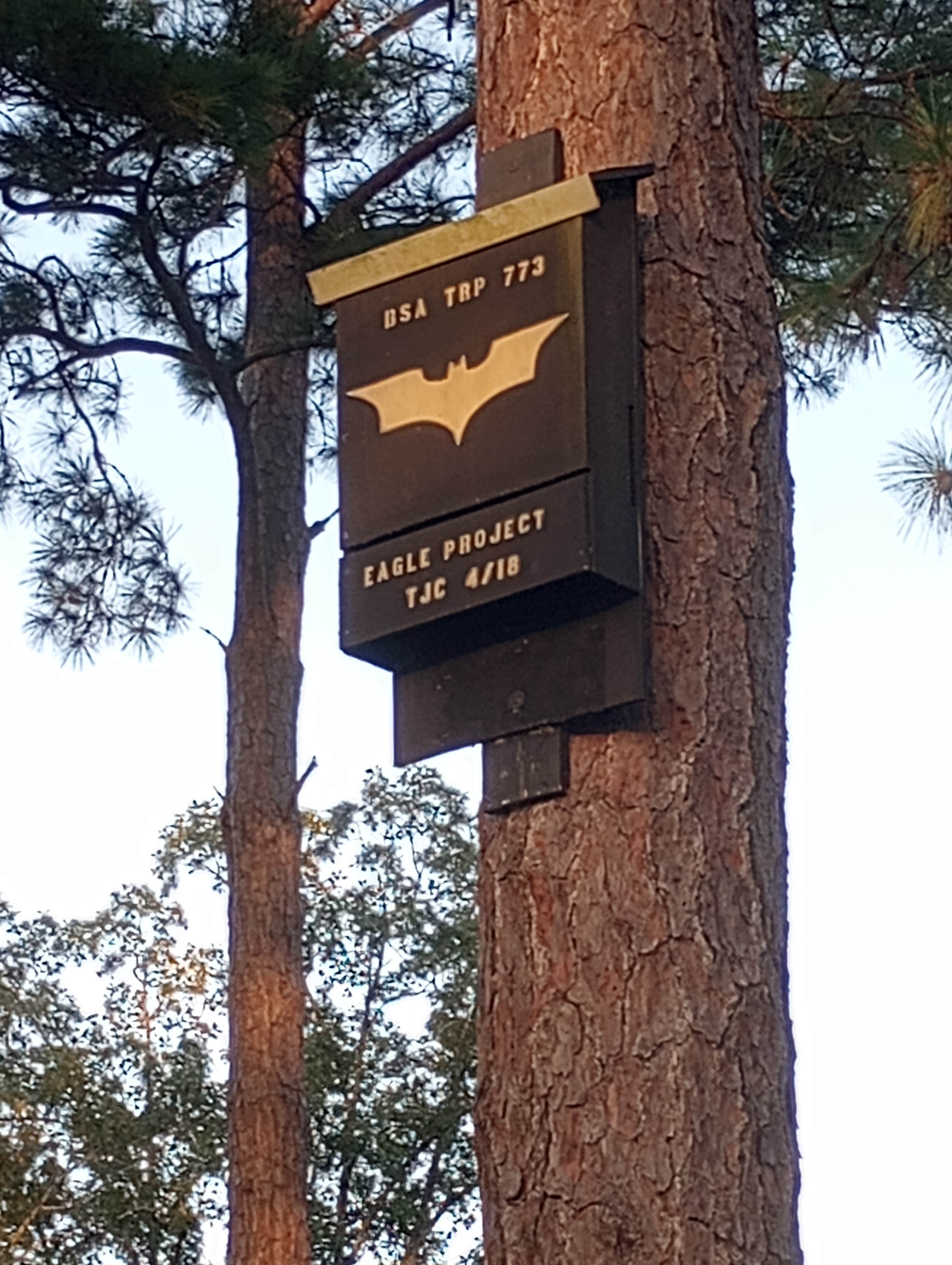 Hurricane Lake South Campground