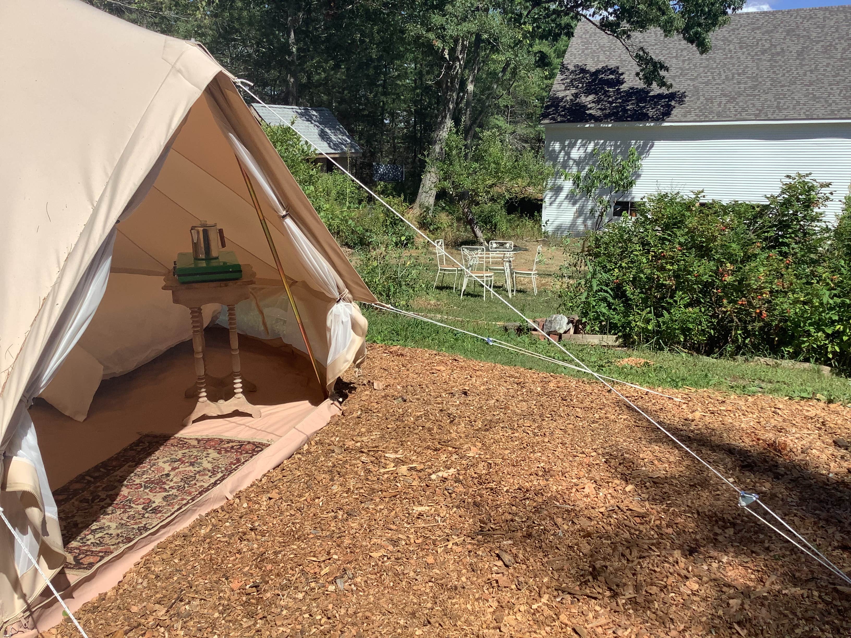 Clementine E.'s photo at Tamerlane Tent near Edgecomb, ME