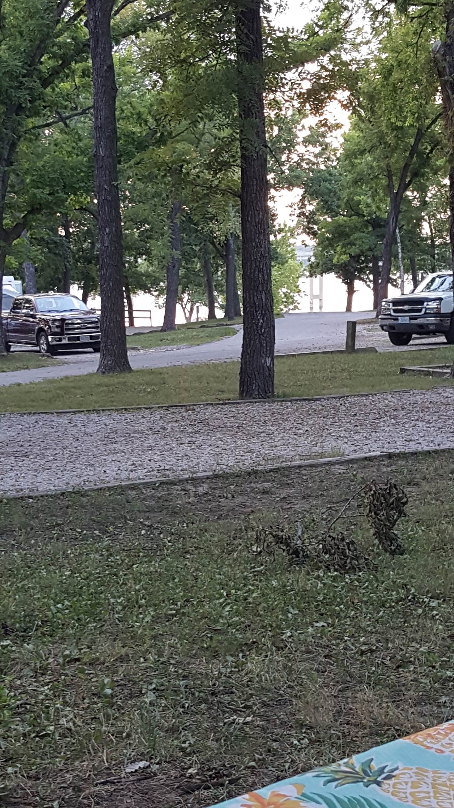 Camper-submitted photo at COE Pomme de Terre Lake Nemo Park near Wheatland, MO