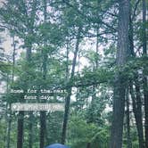 Review photo of Kiptopeke State Park Campground by Jessica A., August 17, 2022