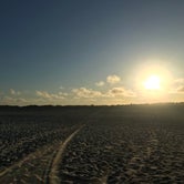 Review photo of Bayside Assateague Campground — Assateague Island National Seashore by Jessica A., August 17, 2022