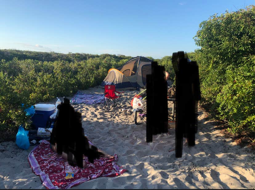 Jessica A.'s photo of camping with pets at Bayside Assateague Campground — Assateague Island National Seashore near Ocean Pines, MD