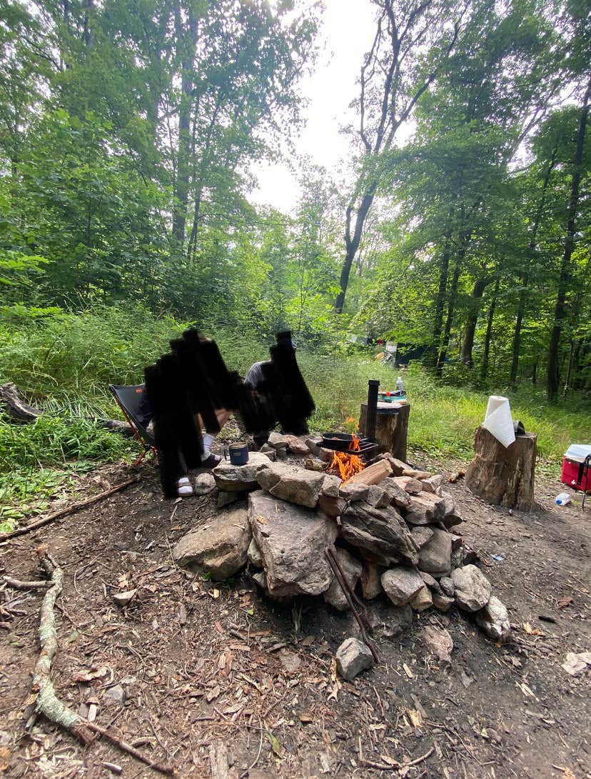Camper-submitted photo at Wolf Gap near Orkney Springs, VA