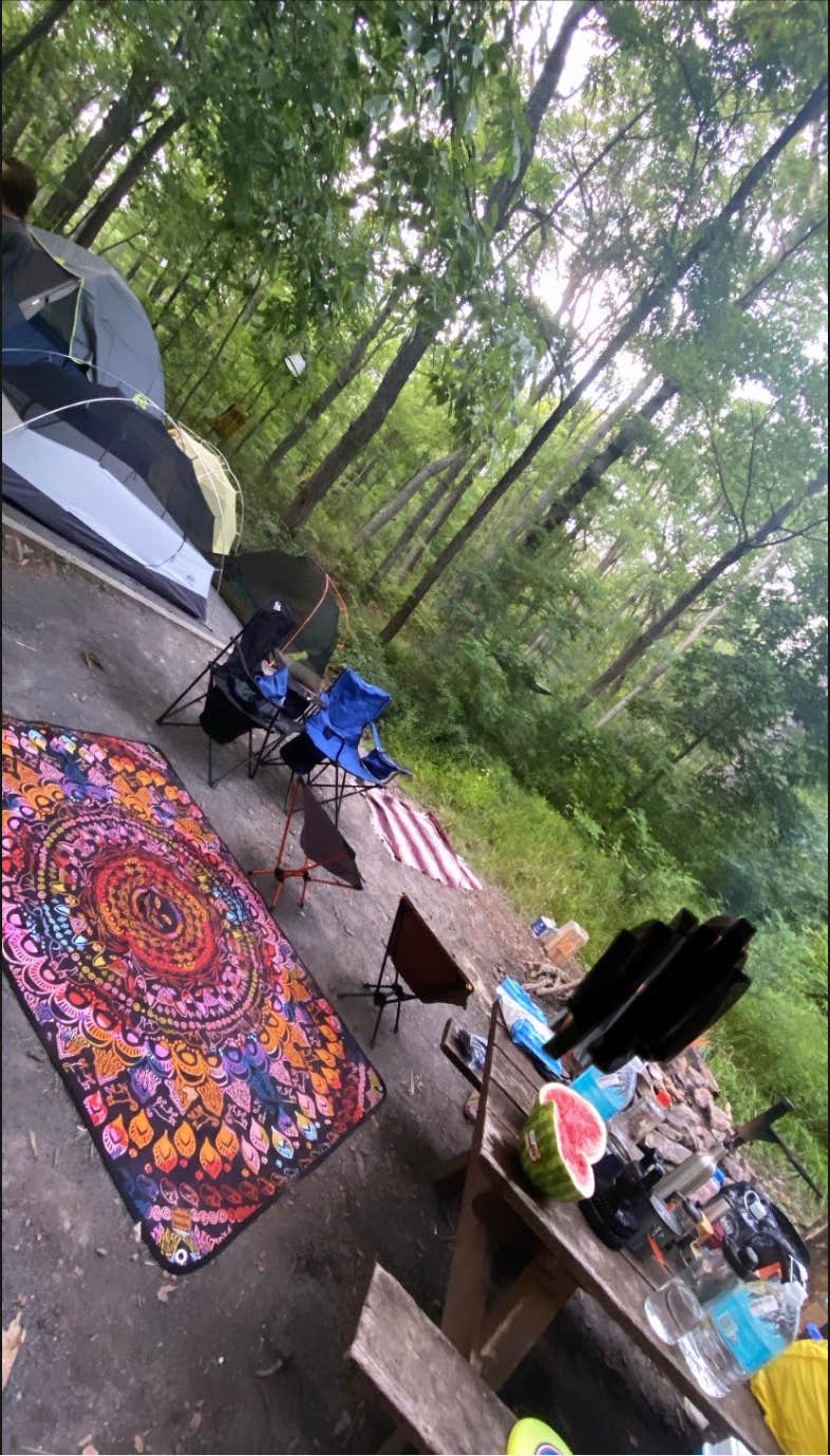 Jessica A.'s photo at Wolf Gap near Orkney Springs, VA