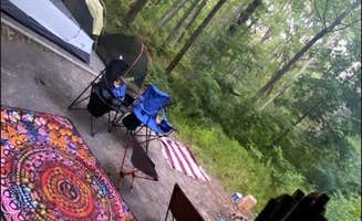 Jessica A.'s photo at Wolf Gap near Edinburg, VA