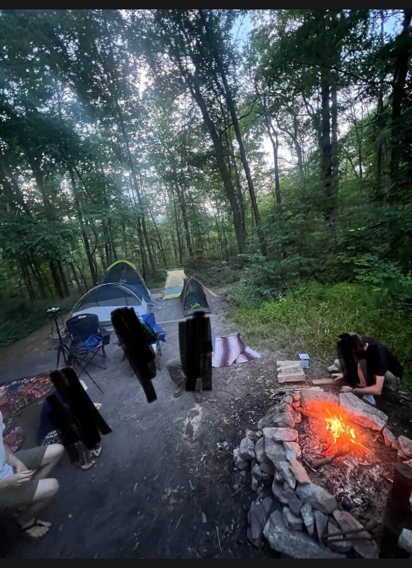Jessica A.'s photo at Wolf Gap near Mount Jackson, VA