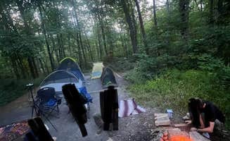 Jessica A.'s photo at Wolf Gap near Mount Jackson, VA