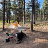 Review photo of Buffalo Springs by Josh H., August 17, 2022