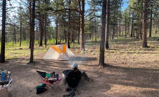 Josh H.'s photo at Buffalo Springs near Fairplay, CO