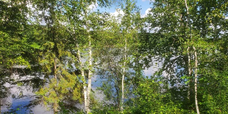 Camper submitted image from Franz Jevne State Park Campground