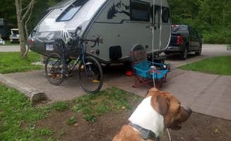 SteveFagerhaug's photo of camping with pets at Punderson State Park Campground near Geneva-on-the-Lake, OH