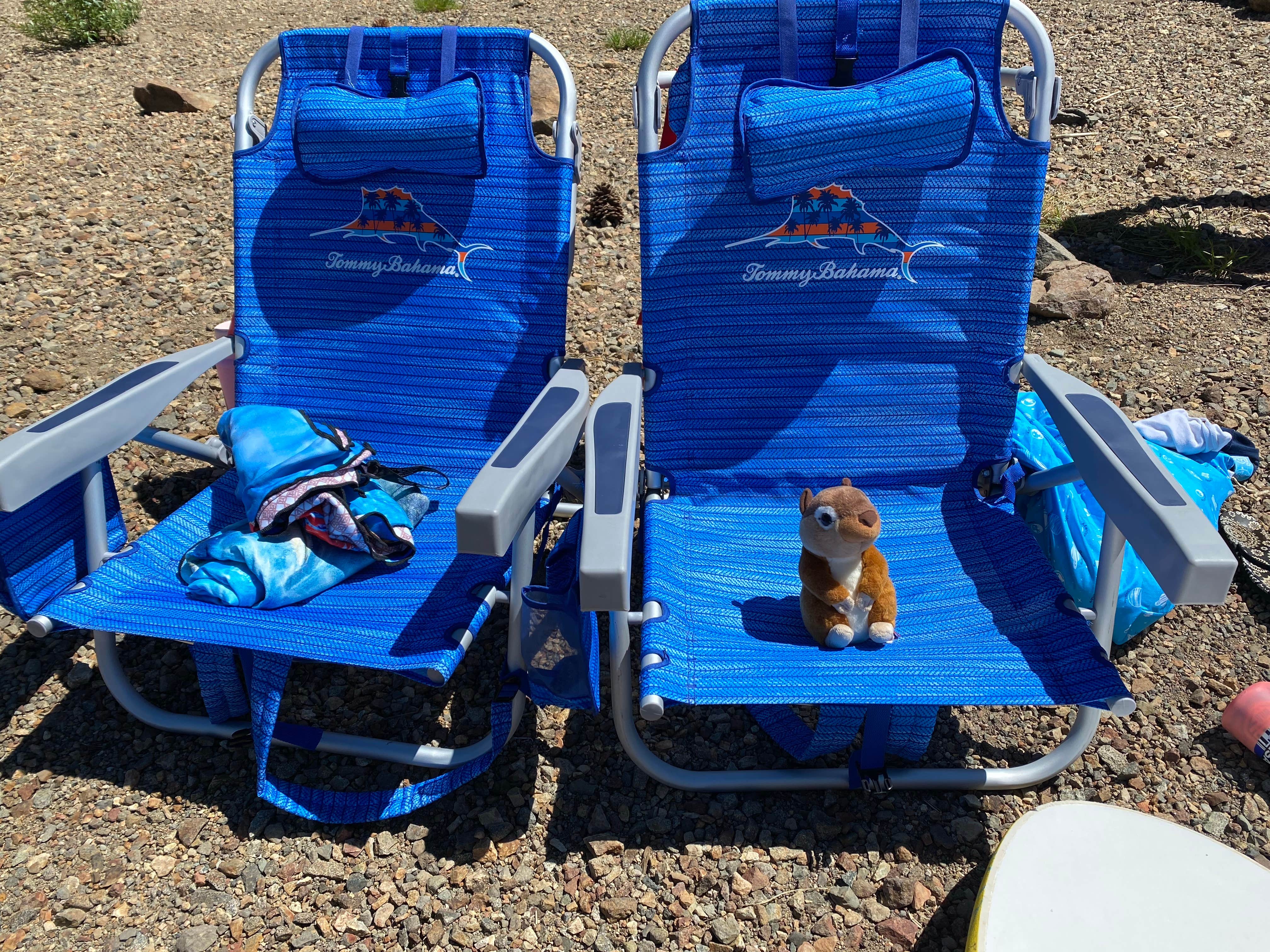 Ron G.'s photo of camping with pets at East Meadow Campground near Plumas National Forest