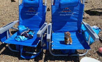 Ron G.'s photo of camping with pets at East Meadow Campground near Plumas National Forest