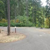 Review photo of Chief Miwaleta RV Park & Campground by Mimi , August 18, 2022