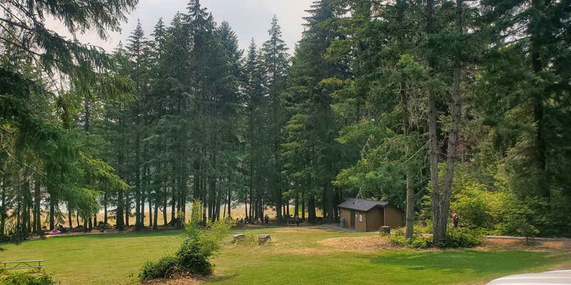 Camper submitted image from Chief Miwaleta RV Park & Campground