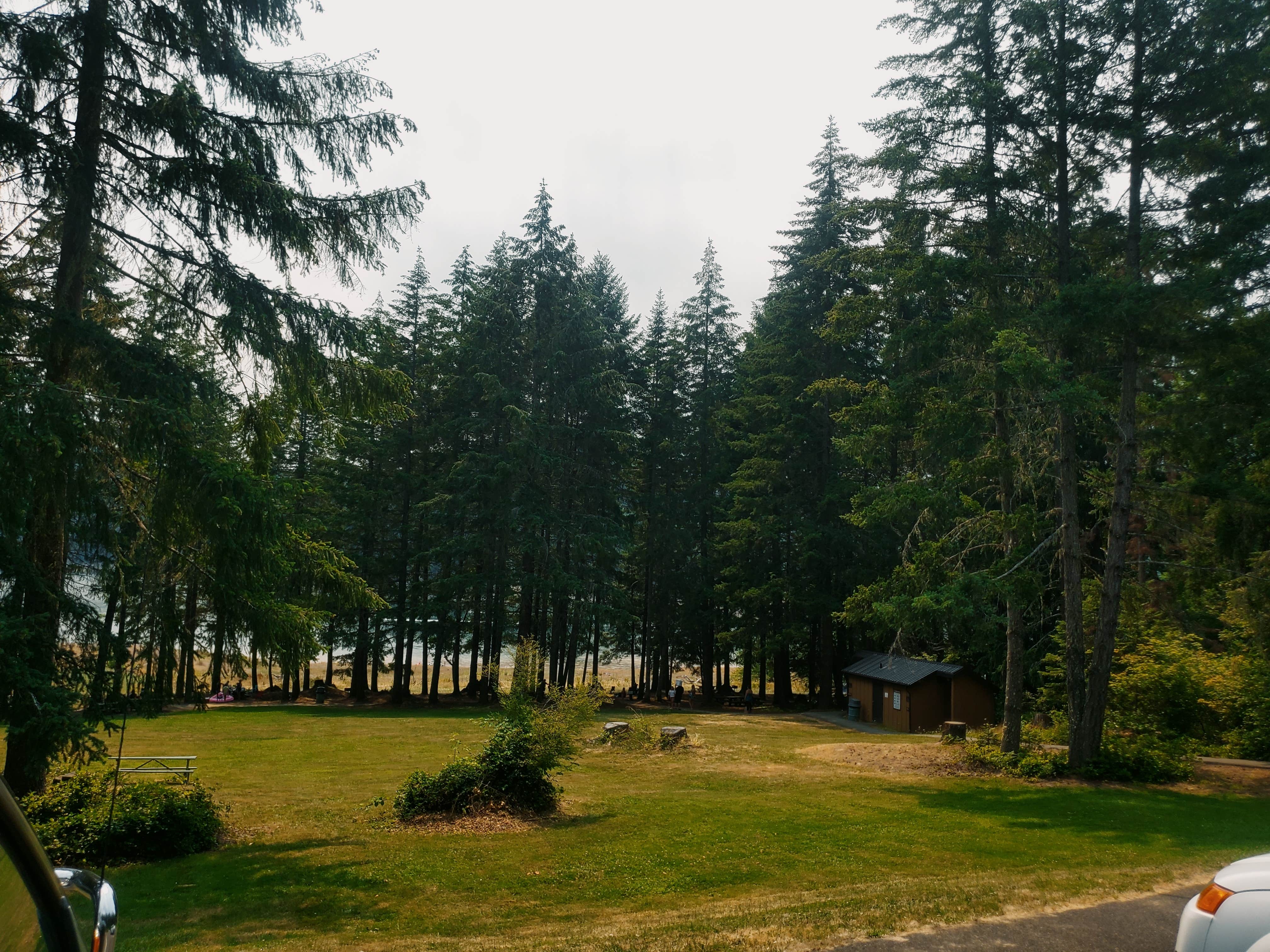 Camper-submitted photo at Chief Miwaleta RV Park & Campground near Myrtle Creek, OR
