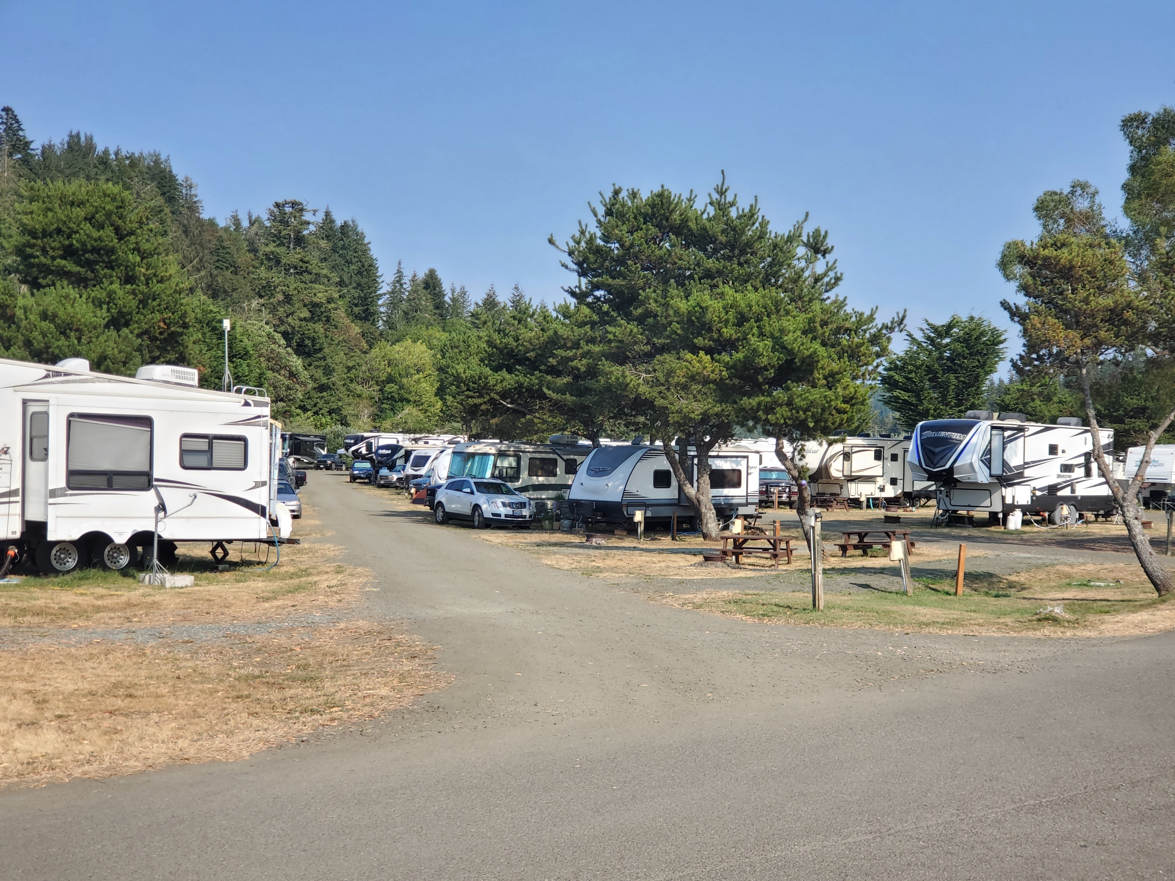 Camper submitted image from Osprey Point RV Resort - 1
