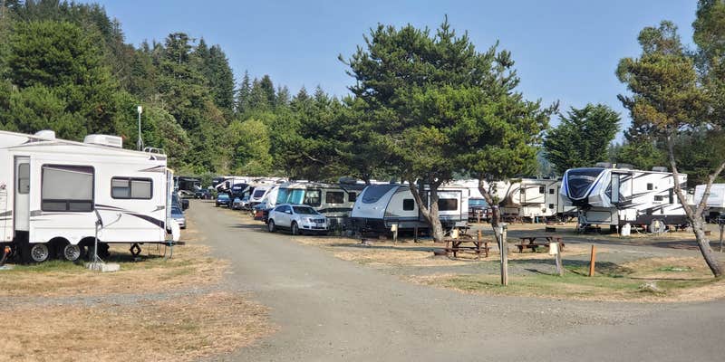 Camper submitted image from Osprey Point RV Resort