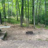 Review photo of Clear Lake Campground — Northern Highland State Forest by Stacey N., August 18, 2022